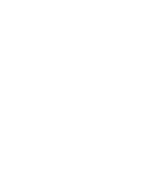 DPS Logo
